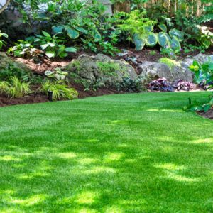 Low-Maintenance Garden Solutions