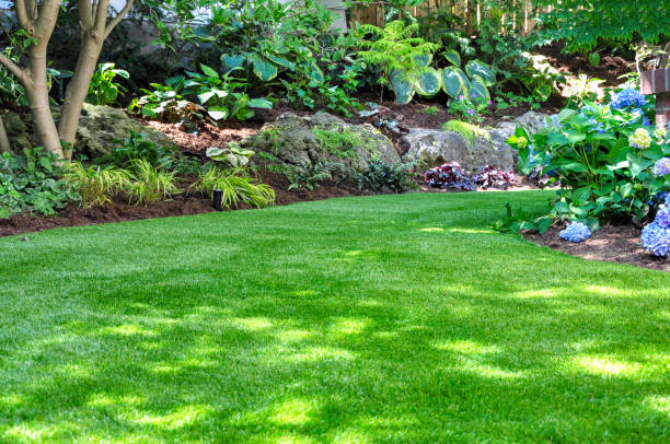 Low-Maintenance Garden Solutions